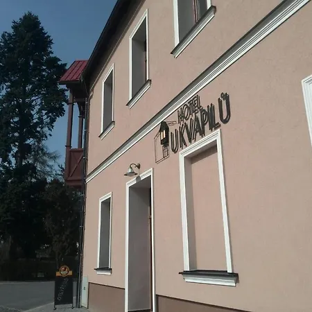 فندق U Kvapilu