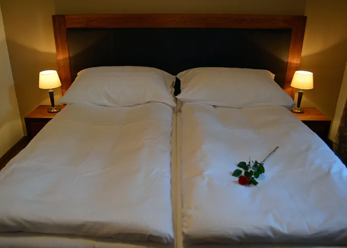 U Kvapilu Hotel