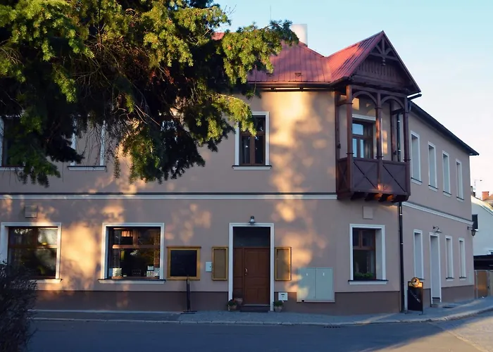 Hotel U Kvapilu 4*