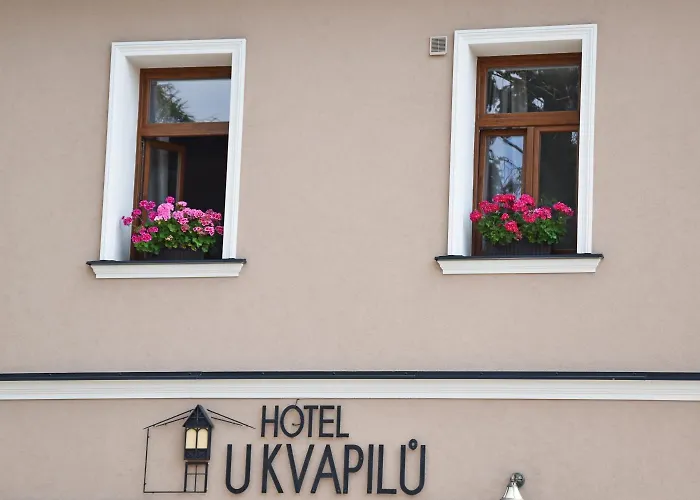 Hotel U Kvapilu 4*